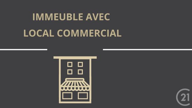 Immeuble à vendre LA RIVIERE ST SAUVEUR